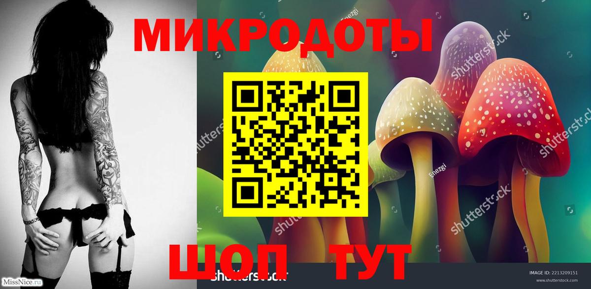 Арсеньев  Галлюциногенные грибы прущие грибы  Вход с VPN 